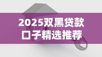 2025双黑贷款口子精选推荐