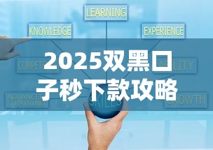 2025双黑口子秒下款攻略