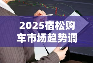 2025宿松购车市场趋势调查报告