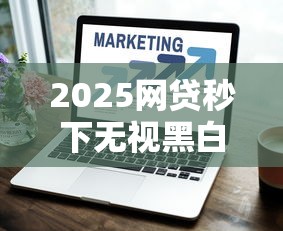 2025网贷秒下无视黑白名单技巧