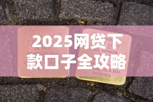 2025网贷下款口子全攻略