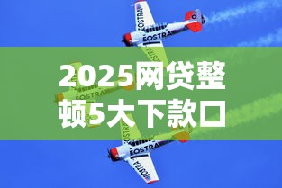 2025网贷整顿5大下款口子