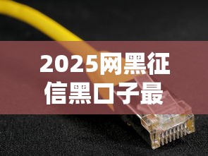 2025网黑征信黑口子最新解析
