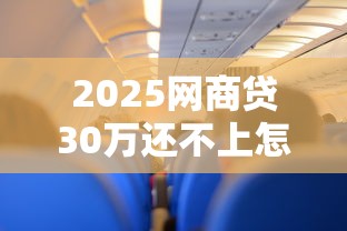 2025网商贷30万还不上怎么办