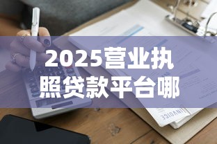 2025营业执照贷款平台哪家好批