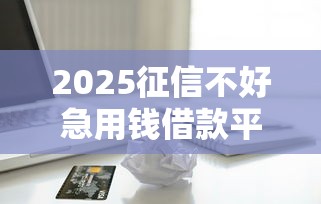 2025征信不好急用钱借款平台推荐