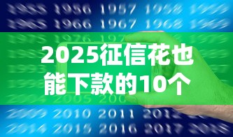 2025征信花也能下款的10个平台