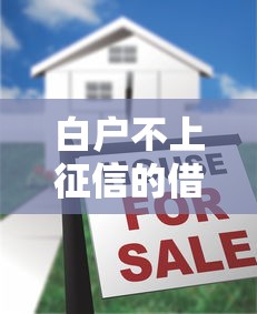 白户不上征信的借款有哪些渠道