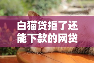 白猫贷拒了还能下款的网贷