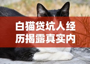 白猫贷坑人经历揭露真实内幕