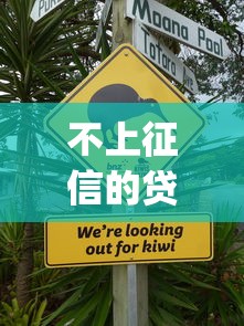 不上征信的贷款平台app推荐