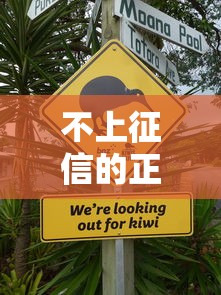 不上征信的正规网贷靠谱吗
