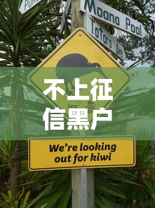 不上征信黑户借款口子推荐