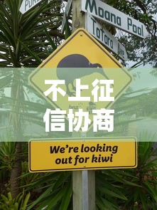 不上征信协商还款可行吗