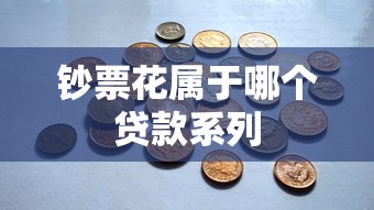 钞票花属于哪个贷款系列
