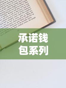 承诺钱包系列口子大全及申请攻略