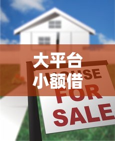 大平台小额借款快速放款指南