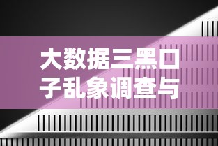 大数据三黑口子乱象调查与解析