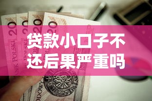 贷款小口子不还后果严重吗