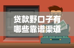 贷款野口子有哪些靠谱渠道