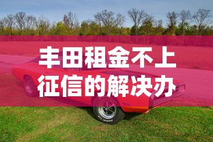 丰田租金不上征信的解决办法