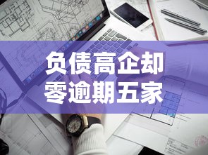 负债高企却零逾期五家企业揭秘