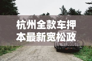 杭州全款车押本最新宽松政策解读