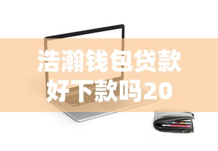 浩瀚钱包贷款好下款吗2025实测