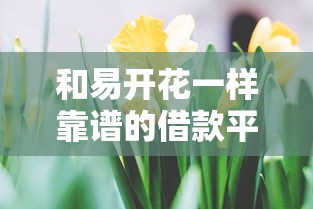 和易开花一样靠谱的借款平台推荐