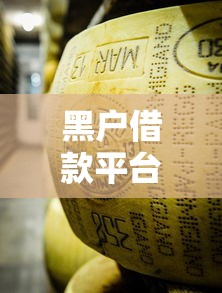 黑户借款平台推荐2025最新