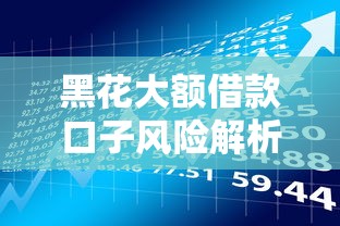 黑花大额借款口子风险解析