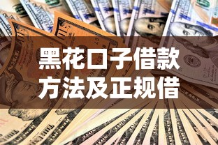 黑花口子借款方法及正规借贷指南