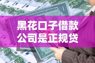 黑花口子借款公司是正规贷款吗