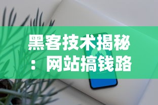 黑客技术揭秘：网站搞钱路子全解析