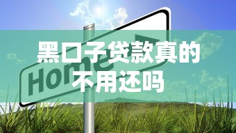 黑口子贷款真的不用还吗