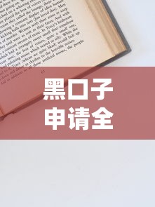 黑口子申请全攻略及技巧分享
