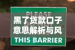 黑了贷款口子意思解析与风险警示