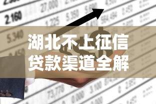 湖北不上征信贷款渠道全解析