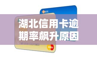 湖北信用卡逾期率飙升原因解析