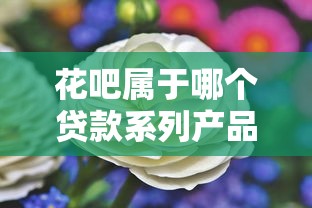 花吧属于哪个贷款系列产品