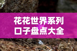 花花世界系列口子盘点大全