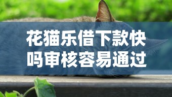 花猫乐借下款快吗审核容易通过吗