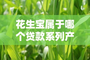 花生宝属于哪个贷款系列产品