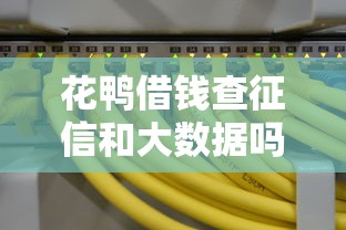 花鸭借钱查征信和大数据吗