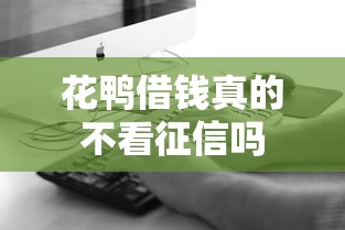 花鸭借钱真的不看征信吗