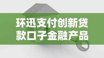 环迅支付创新贷款口子金融产品解析