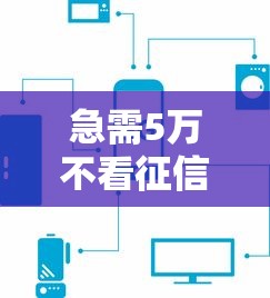 急需5万不看征信快速借款攻略