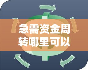 急需资金周转哪里可以分期放水