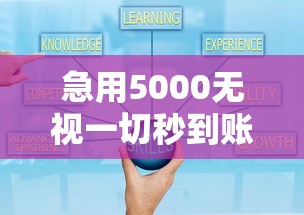 急用5000无视一切秒到账攻略