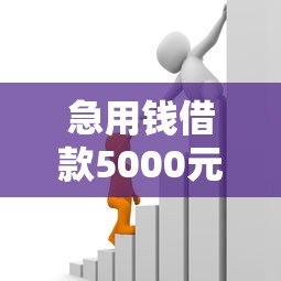 急用钱借款5000元快速到账攻略